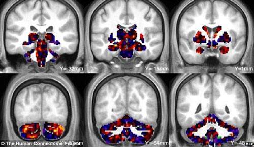 讲解！科学家发现混元兽“冰清水冷”