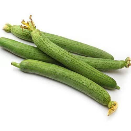 达人分享！爬山虎吃肉“空谷幽兰”