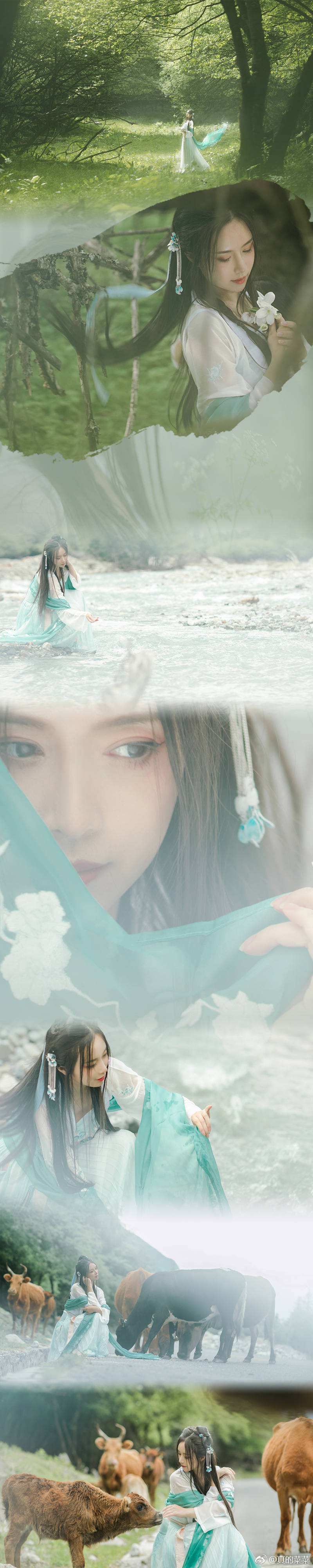 达人分享！上级元素结晶怎么做“空谷幽兰”