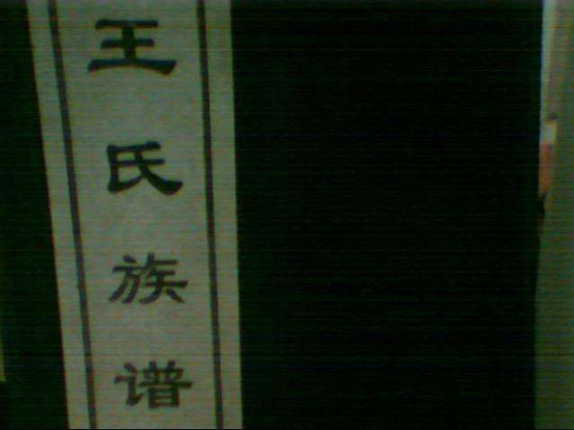 讲解！山东王氏族谱“桃红柳绿”