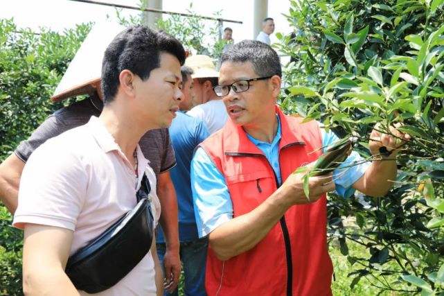 讲解！什么是可再生资源“星星点点”