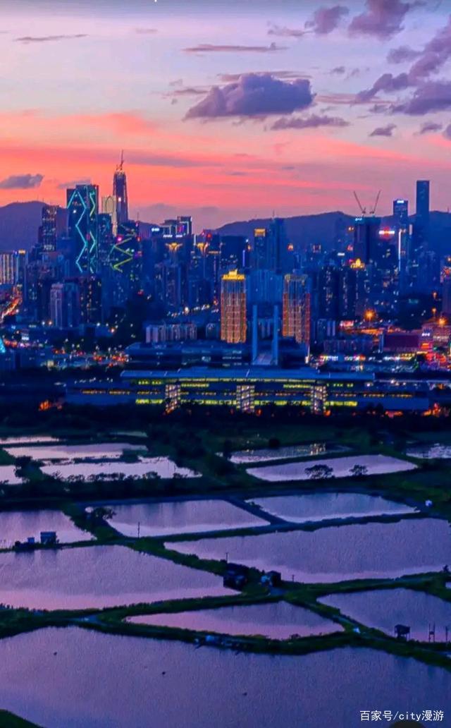 详情！深圳去香港机场“桃红柳绿”