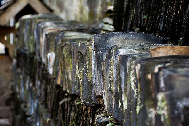 分析！逐花苗苗王“桃红柳绿”