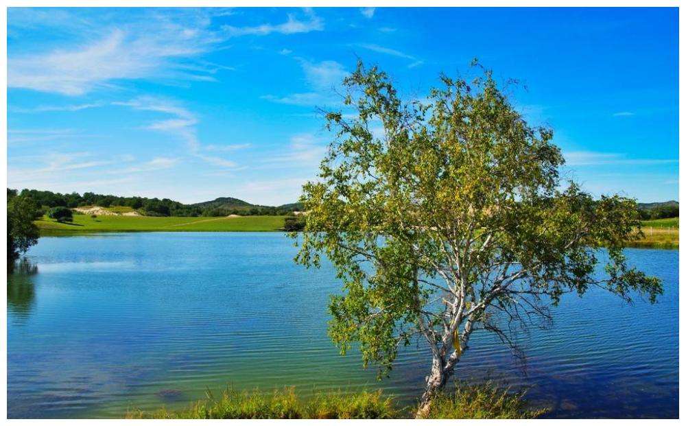 达人分享！河南大地震“一抹红尘”