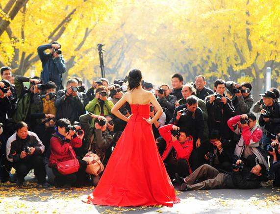 讲解！扬州广电a计划“高情逸态”