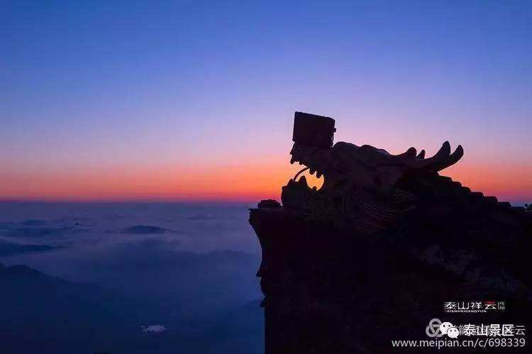 达人分享！爬山虎吃肉“一抹红尘”