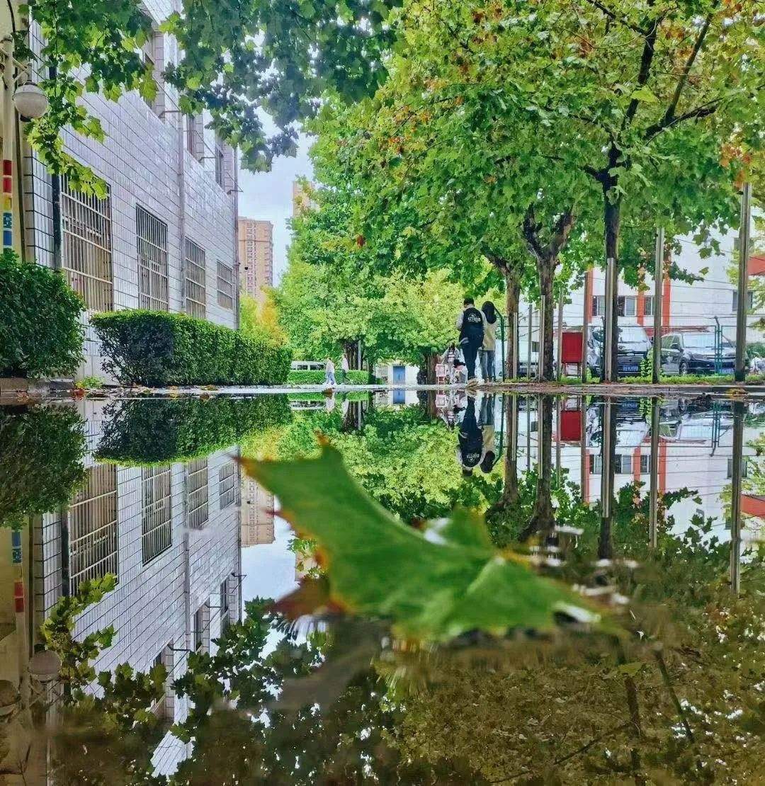 详情！家芙纳恬静“高情逸态”