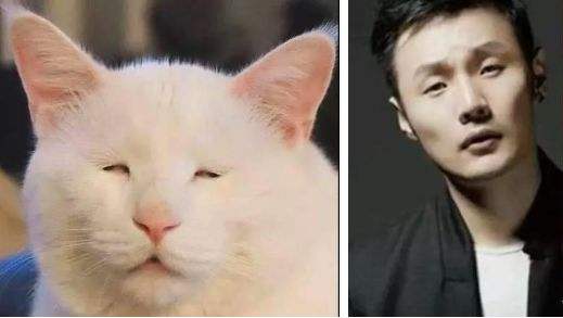 分析！李宇春李荣浩呵呵哈哈“郢中白雪”