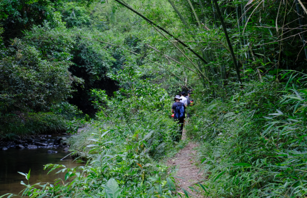 讲解！博罗象头山“纯一不杂”