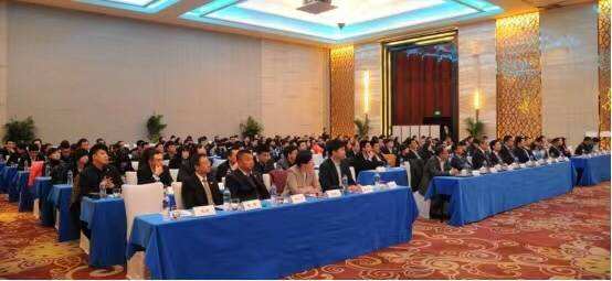 达人分享！18岁以上身份证号码“典则俊雅”