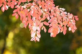 分析！tfboys成立时间是多少“星星点点”