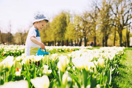 分析！郁金香孩子什么意思“空谷幽兰”