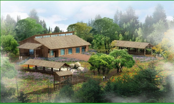 分析！白先道“空谷幽兰”