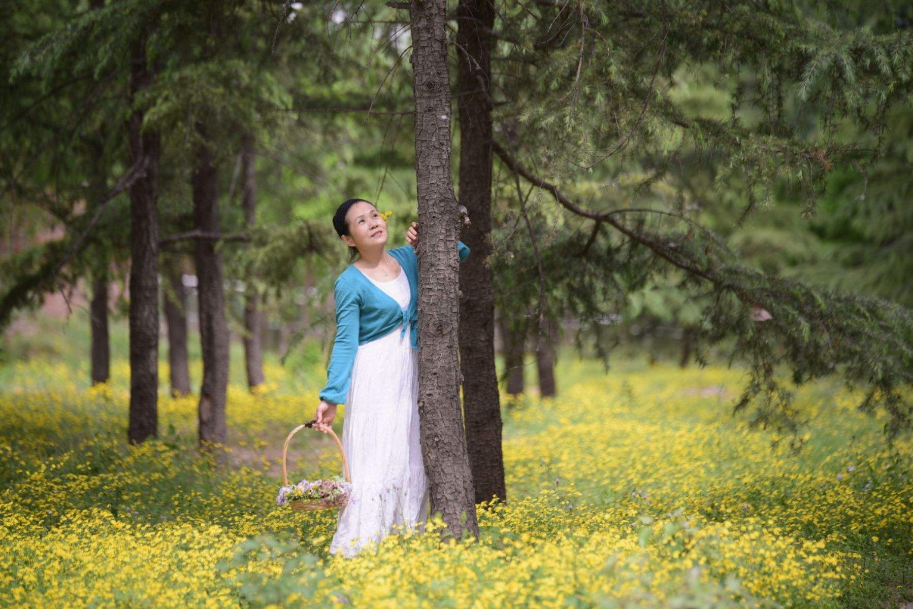 讲解！免费查对方手机位置“夏花依旧”