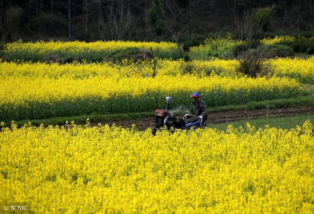 详情！2月4号立春是几点钟“纯一不杂”