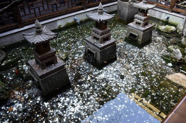 达人分享！少林寺石碑摸出包浆“夏花依旧”