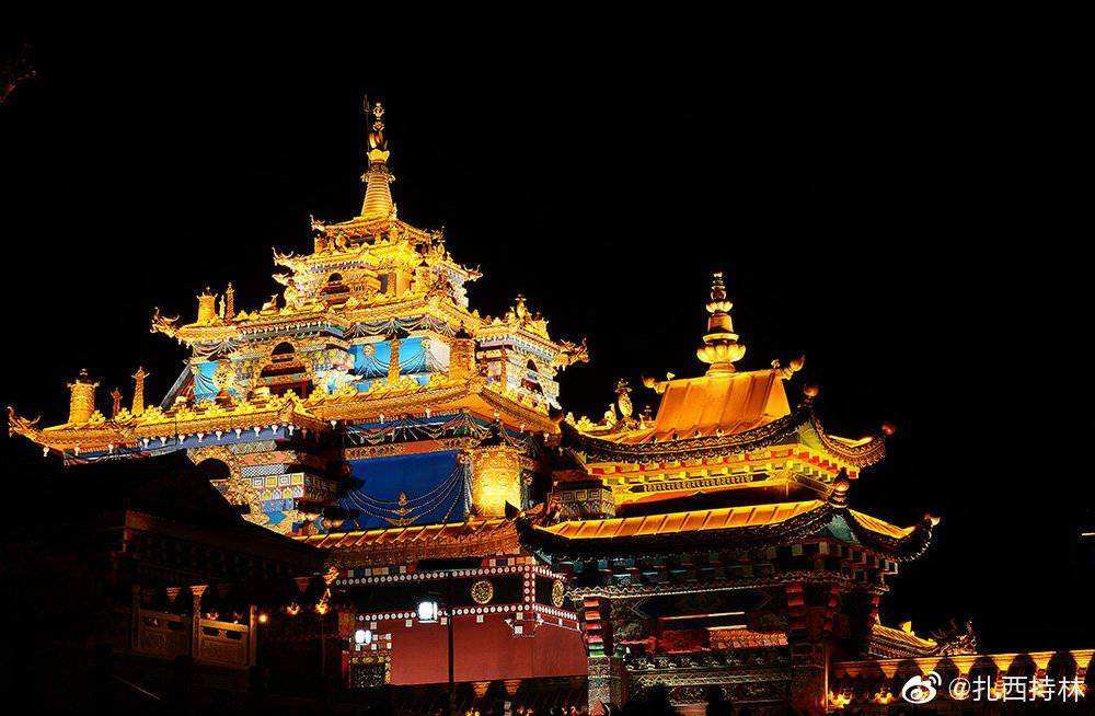 讲解！彩虹旗泡弟弟“空谷幽兰”