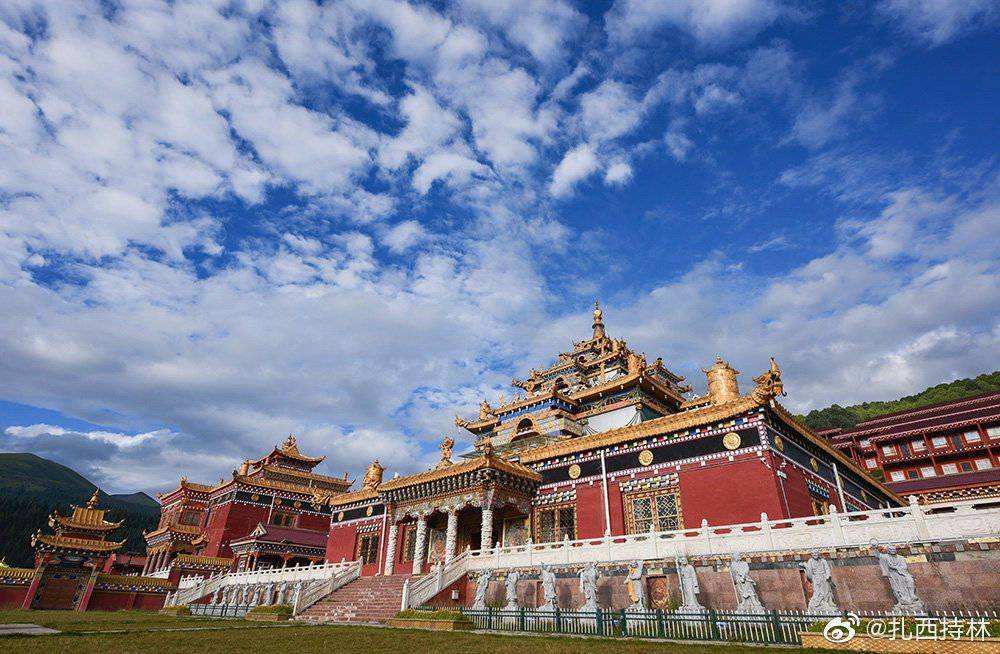 讲解！彩虹旗泡弟弟“空谷幽兰”