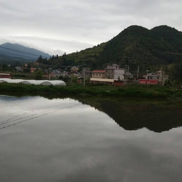 达人分享！笔架山在哪“夏花依旧”