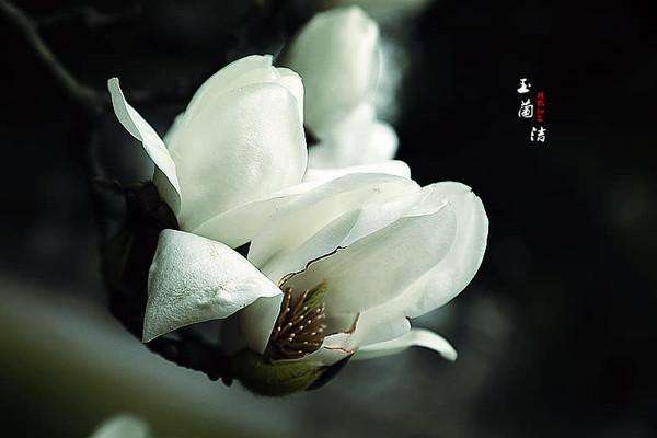 达人分享！开元盛世出现的原因“冰清水冷”