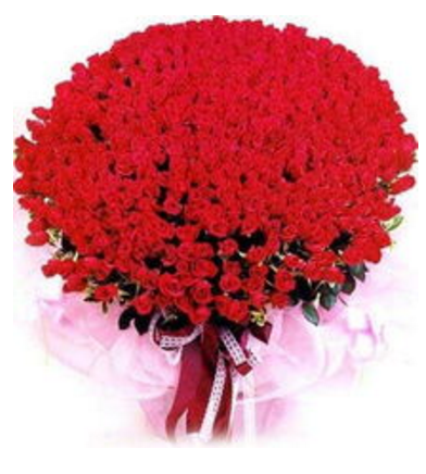 分析！心心骂壮壮“夏花依旧”