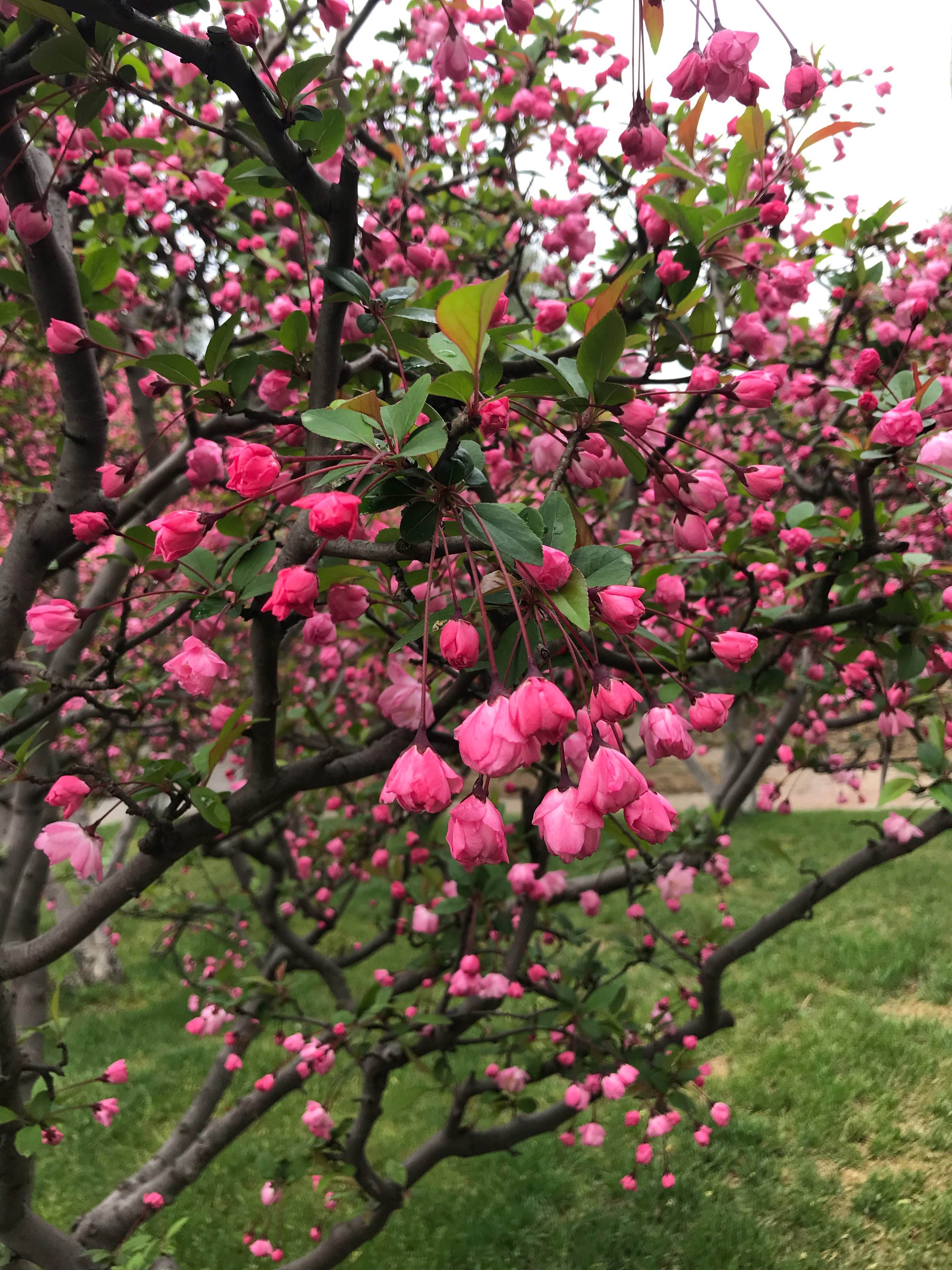 分析！工商举报电话“桃红柳绿”