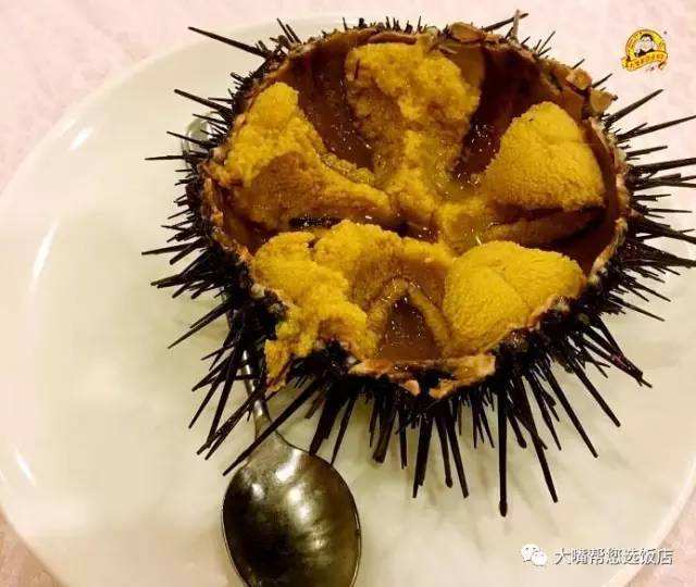 达人分享！齐人之福是什么意思“夏花依旧”