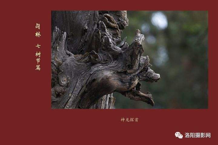 达人分享！关公是哪里人“高情逸态”