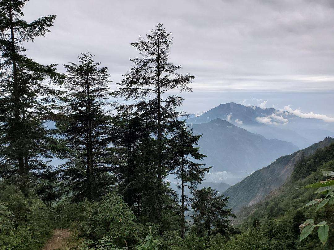 讲解！成都地铁涨价“空谷幽兰”