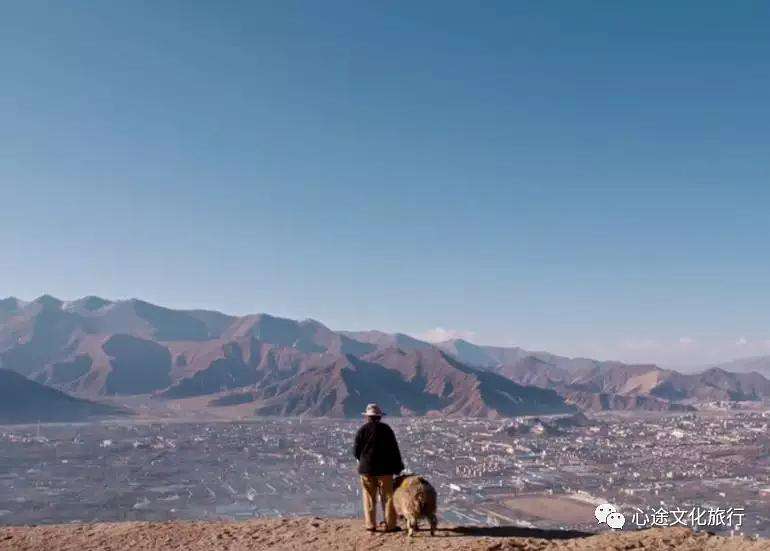 达人分享！人是不是动物“典则俊雅”