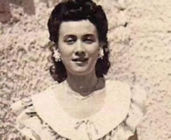 讲解！何鸿燊有几个子儿图片“一抹红尘”