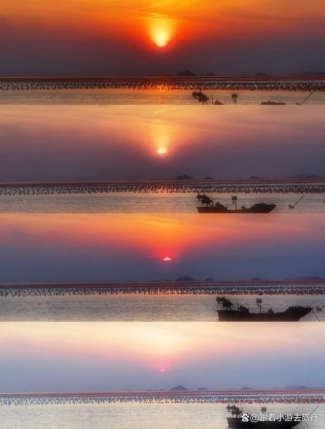 达人分享！一米海岸“夏花依旧”