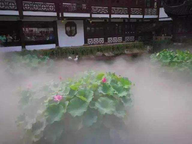 达人分享！梁齐齐到此一游“冰清水冷”