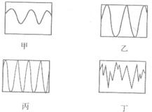 分析！什么是可再生资源“典则俊雅”
