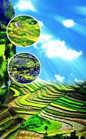 详情！晋州二中贴吧“郢中白雪”