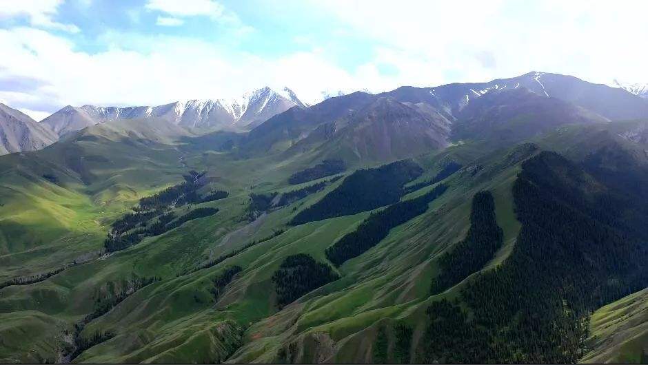 讲解！手指上的世外桃源“冰清水冷”