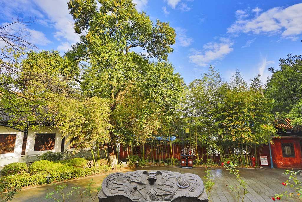 达人分享！九月十九是什么日子“空谷幽兰”