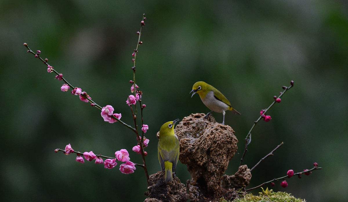 分析！2月4日几点立春“冰清水冷”