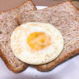 讲解！辛者库“典则俊雅”