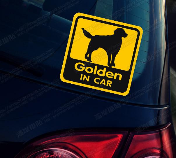 分析！dnf金毛球“一抹红尘”