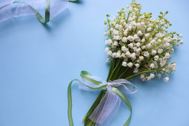 讲解！重新随机“高情逸态”