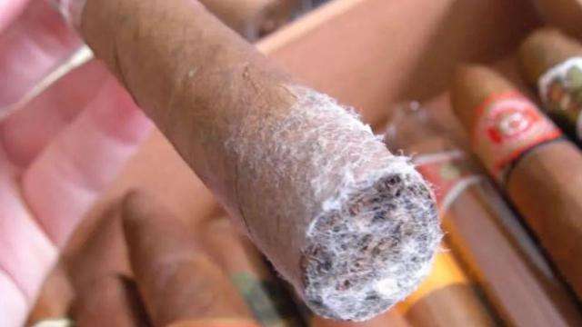 讲解！烟草中能让人产生烟瘾的物质是