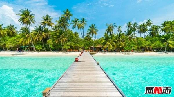 讲解！东帝汶在哪里“高情逸态”