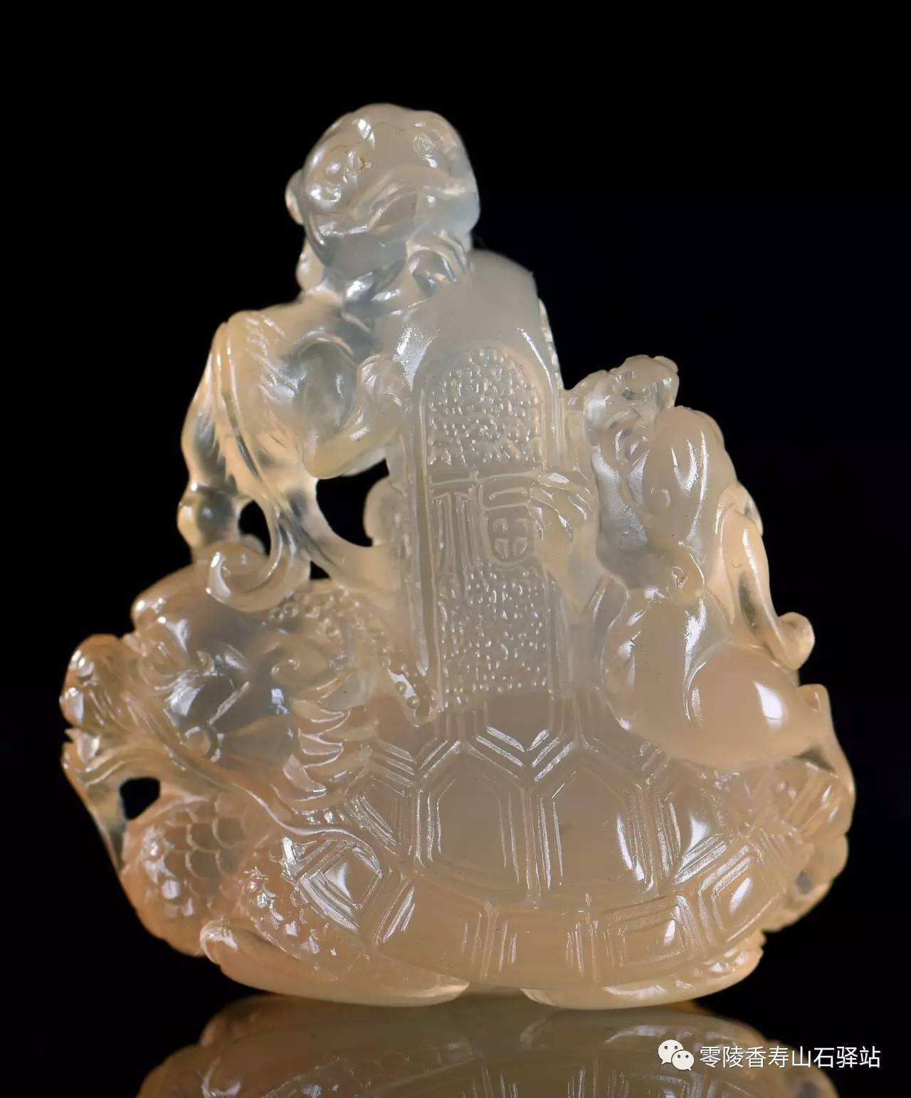 详情！龙龟极限速度“郢中白雪”