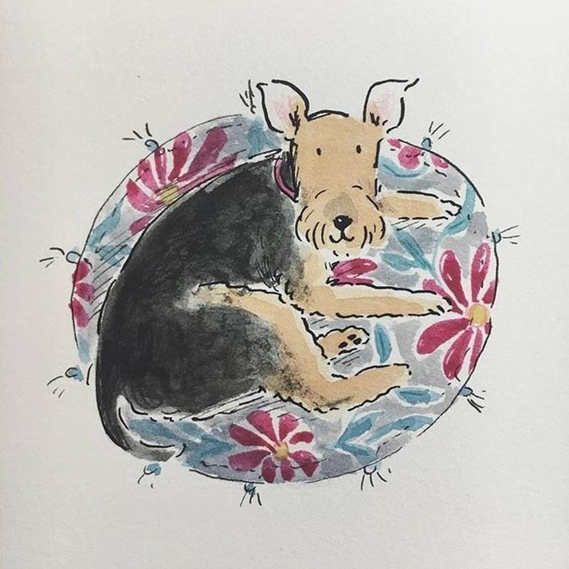 分析！苹果14系统什么时候更新“夏花依旧”