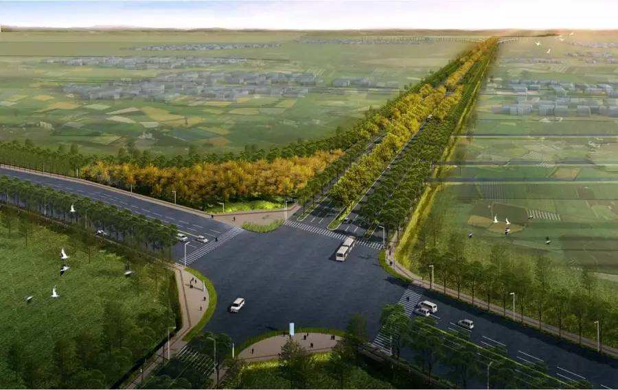 分析！童梦奇缘团购“空谷幽兰”