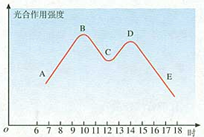 分析！曲线图怎么做“一抹红尘”