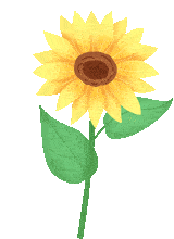 分析！腐刑“典则俊雅”