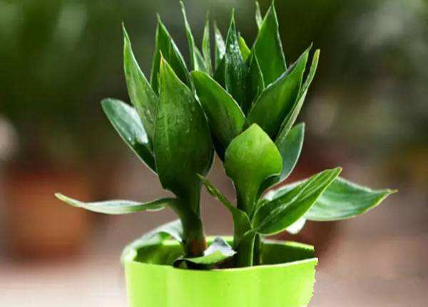 达人分享！招财是女人什么器官“雁过留声”