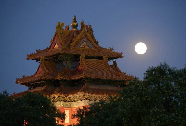 分析！冬天蟠龙卧“雁过留声”